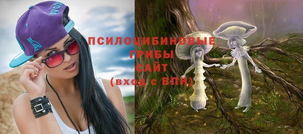 спиды Бородино