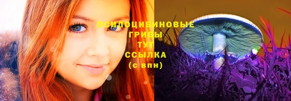 ПСИЛОЦИБИНОВЫЕ ГРИБЫ Пестово
